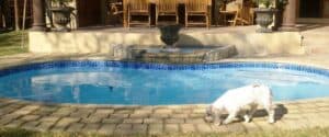 Bluetec Fiberglass Pools — swimming pool project