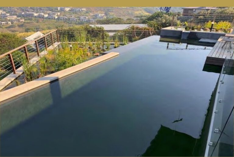 NSPI award-winning pool by Kenny Matthews Pools cc in KwaDukuza Local Municipality, KwaZulu-Natal — Natural Eco Pool