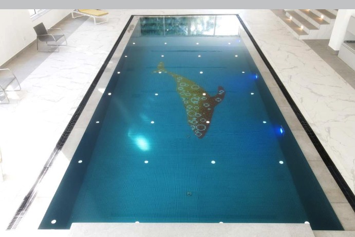 NSPI award-winning pool by Radiant Pools in Cape Town, Western Cape — Pool Finishing