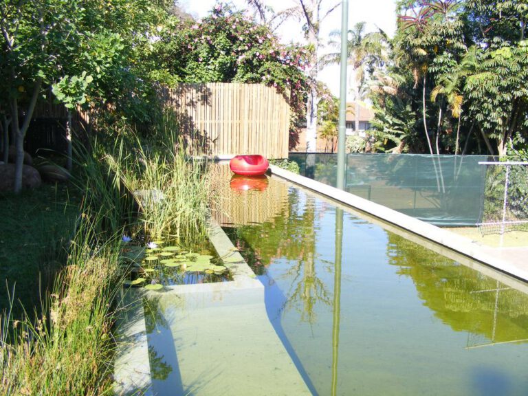 Robust Pools and Paving — pool project photograph 6 of 66 in Durban, KwaZulu-Natal