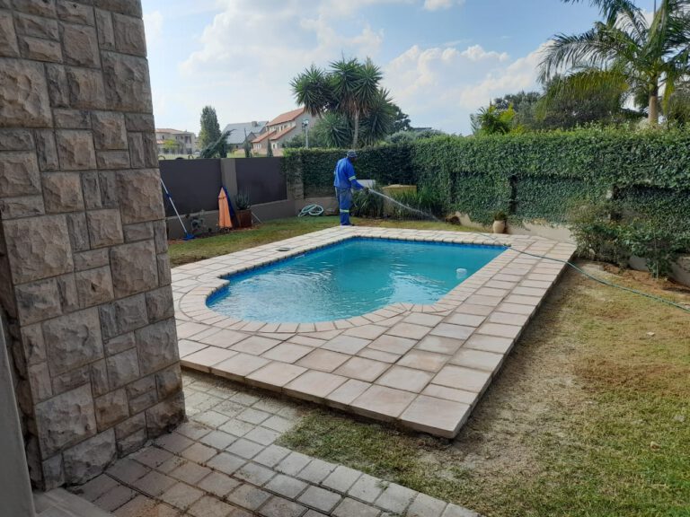 Penguin Pools: Western Cape — pool project photograph 8 of 8
