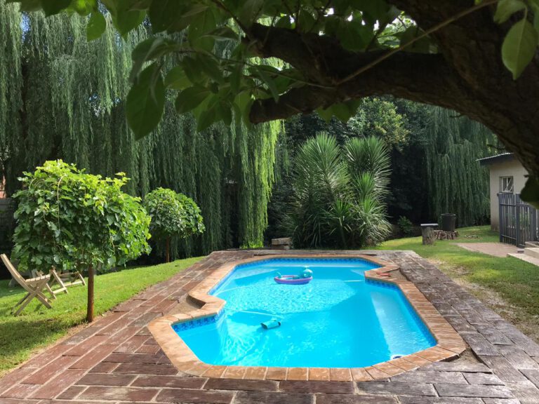 Penguin Pools: Western Cape — pool project photograph 4 of 8